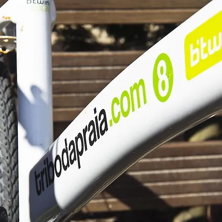 Tribo Da Praia - Almagreira Surf