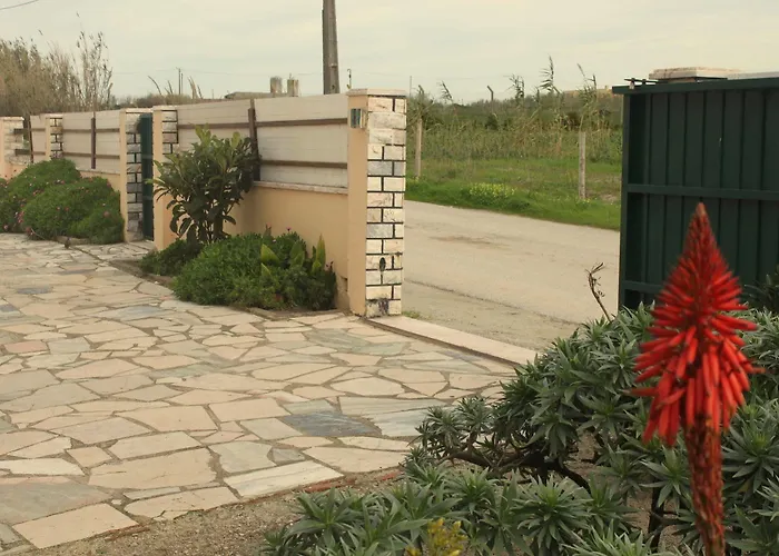 Tribo Da Praia - Almagreira Surf *